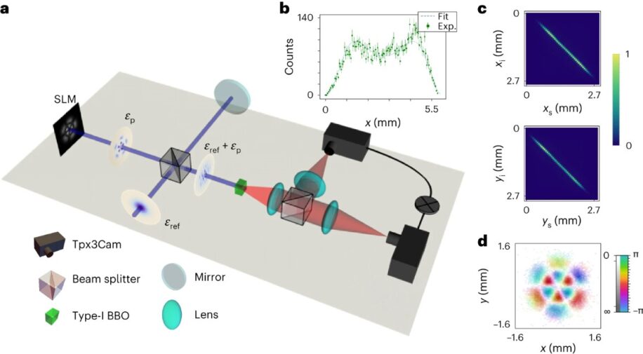 Визуализация квантовой запутанности в реальном времени с помощью двухфотонной голографии