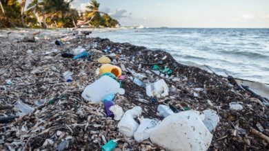 пластиковые отходы в море