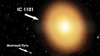 IC 1101