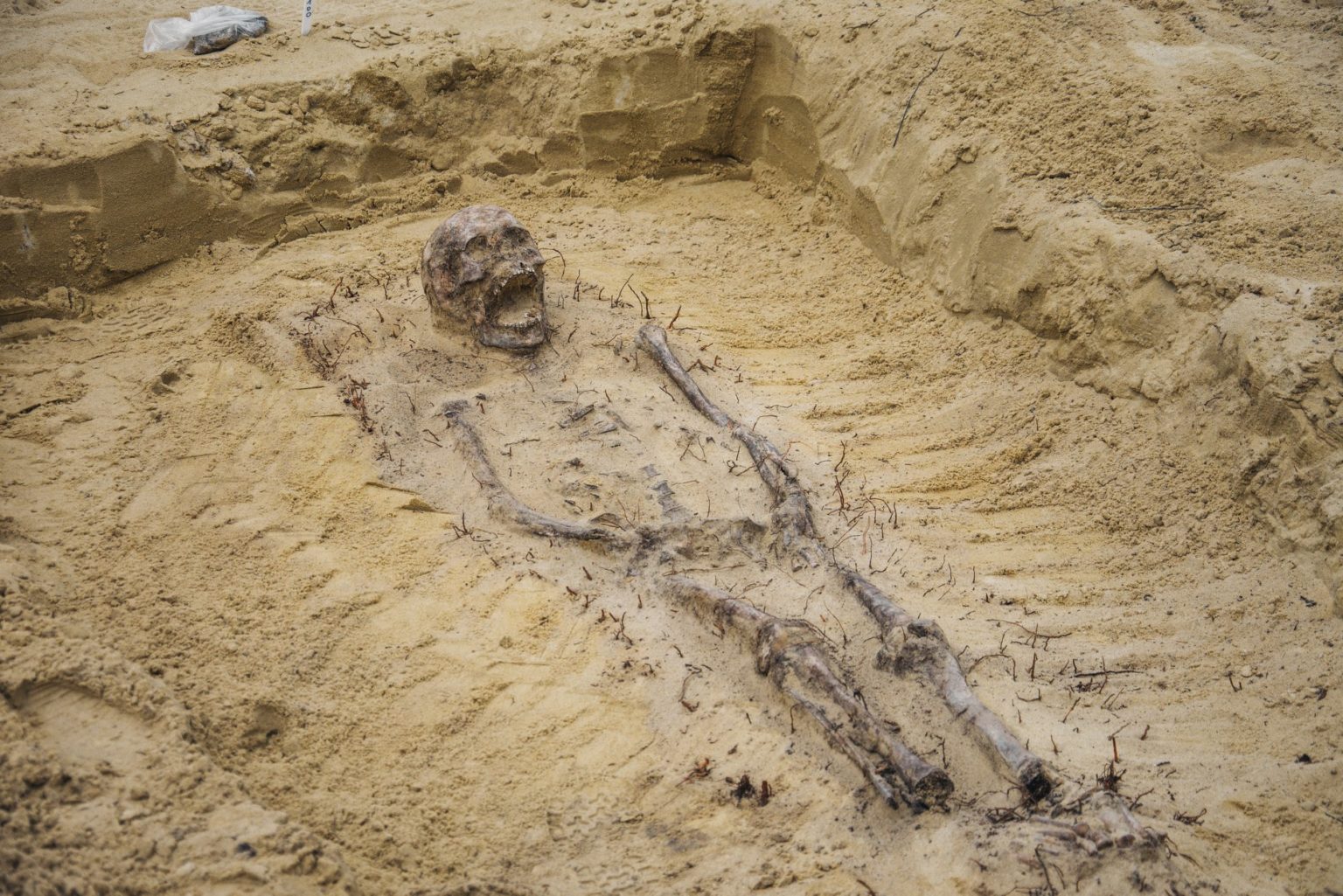 фото выкопанных могил