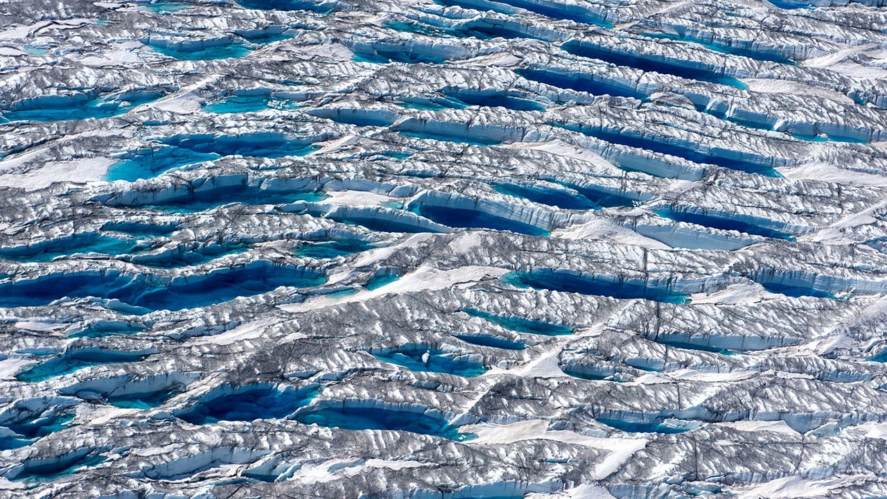 Ледяная поверхность. Ледяные цветы Арктики. Глобальное похолодание. Глобальное похолодание фото. Cold region
