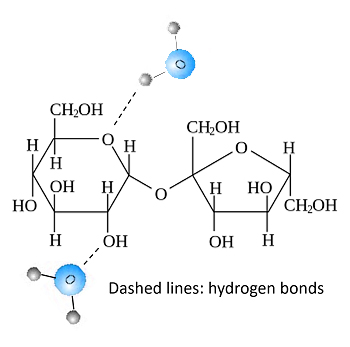 Атом кислорода в гидроксильной группе карбоновых кислот: 1)не имеет заряда 2)имеет частичный положительный заряд 3)имеет частичный отрицательный заряд 4)имеет целый отрицательный заряд -