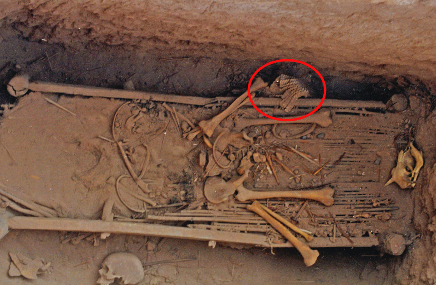В Китае 2500 лет назад похоронили человека и его «чешуйчатые доспехи»