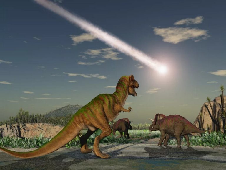 Место куда упал метеорит убивший динозавров фото