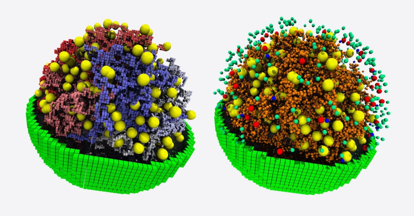 Наиболее полное 3D моделирование клетки раскрывает фундаментальные биологические процессы