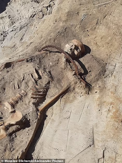 Археологи обнаружили скелет "вампира"