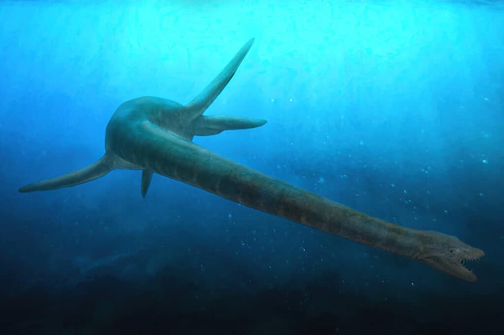 Первая полная окаменелость плезиозавра, морской рептилии возрастом 100 миллионов лет, обнаружена в Австралии