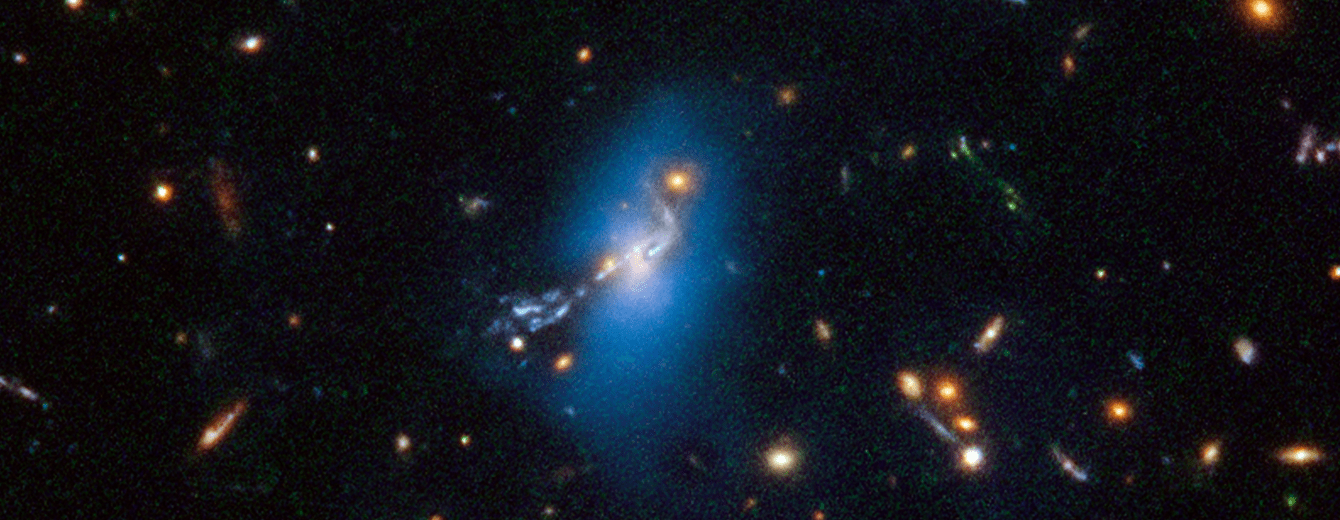 Новый обзор Хаббла в поисках звезд-сирот и «призрачного света»