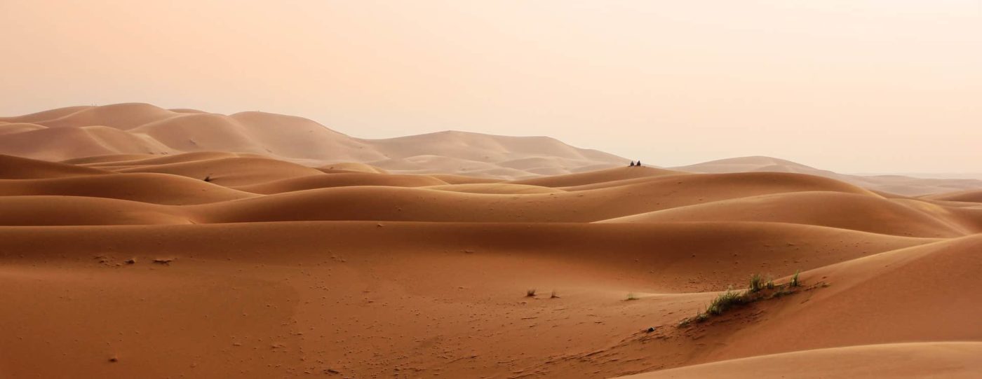 Какая самая большая пустыня в мире?