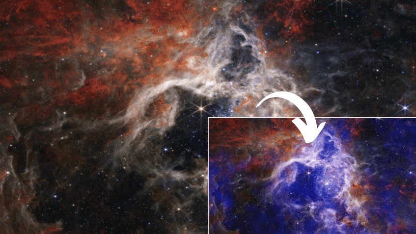 НАСА опубликовало невиданное ранее изображение туманности Тарантул
