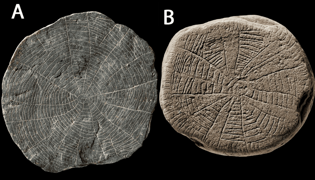 Люди эпохи неолита приносили в жертву сотни камней (и мы наконец-то узнали, почему)