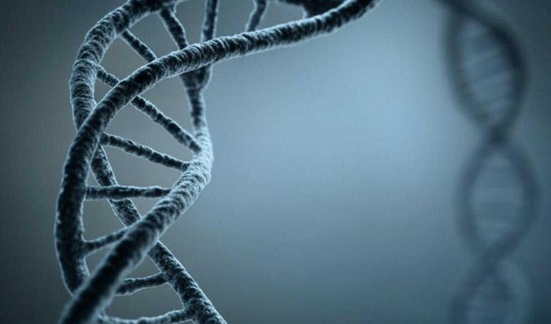 Ученые разработали платформу для бесконтактного управления ДНК с помощью электрических полей