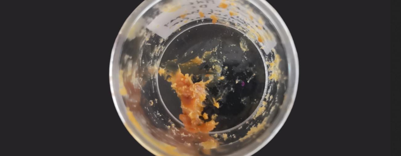 Таинственное 2500-летнее «подношение богам» наконец идентифицировано