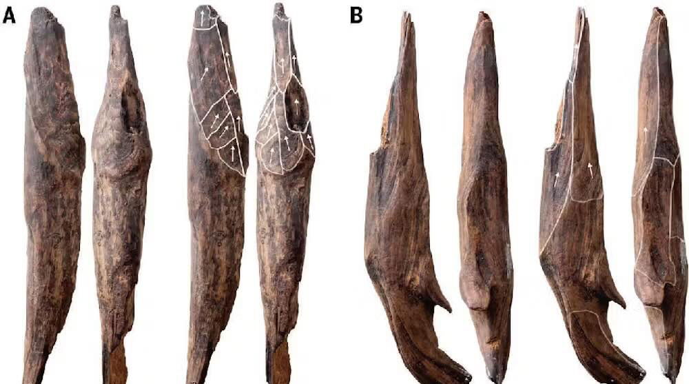 В Китае обнаружены древнейшие деревянные орудия эпохи плейстоцена, свидетельствующие о сложных технологиях Восточной Азии