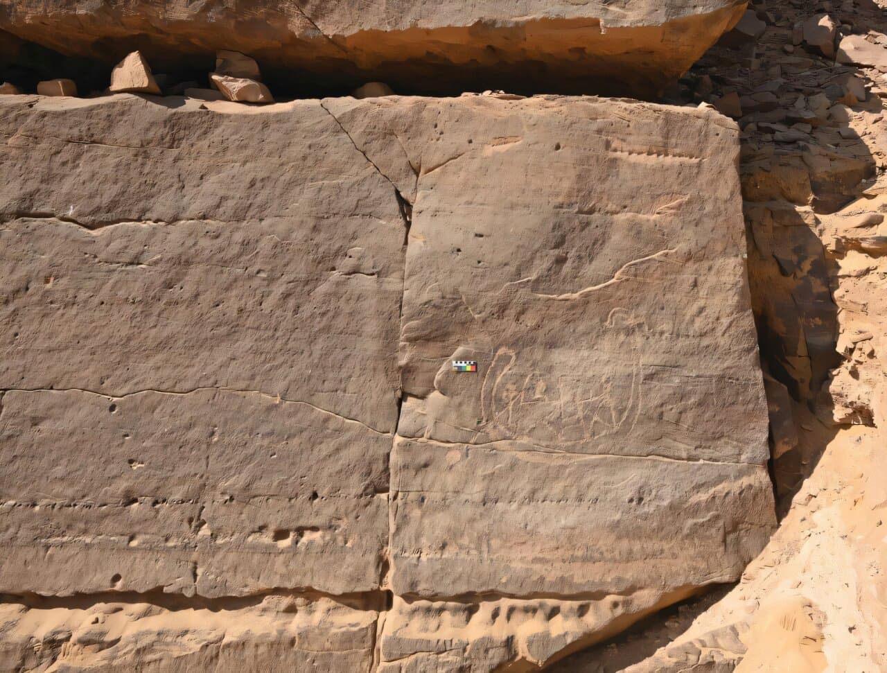 Возле Асуана обнаружена редкая наскальная панель возрастом 6000 лет, возможно, изображающая представителя элиты Первой династии