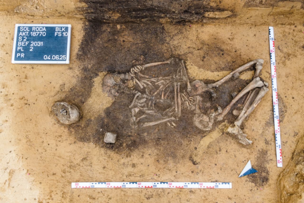 В Германии обнаружены захоронения женщин медного века с загадочными сумками из зубов собак и волков