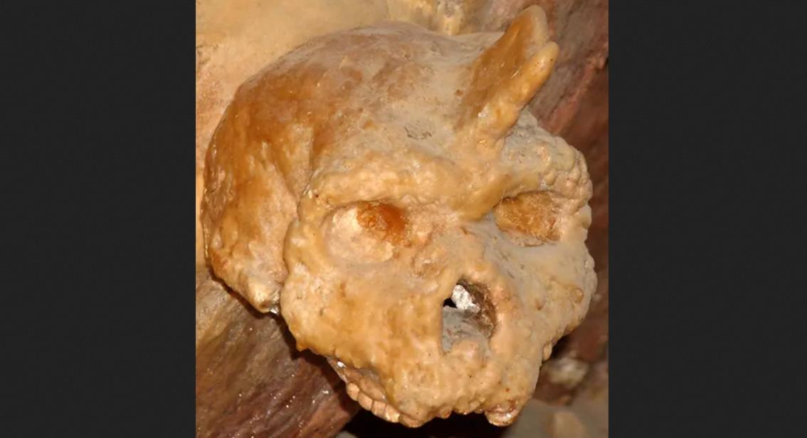 Череп из пещеры Петралона оказался на полмиллиона лет старше, чем считалось