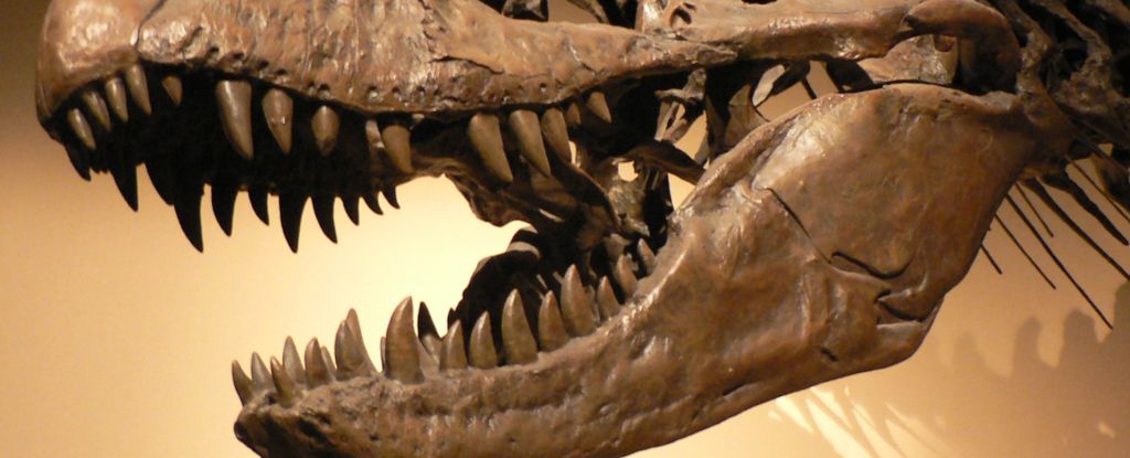 Исследование раскрыло разнообразие стратегий укуса у хищных динозавров