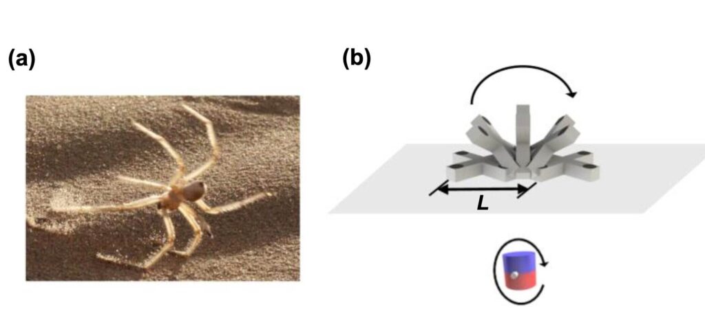 Китайские инженеры создали роботов-пауков для мини-инвазивной эндоскопии
