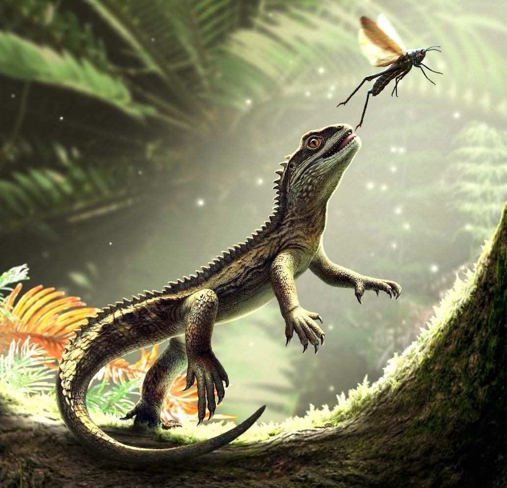 Ученые открыли новый вид рептилии, который старше динозавров на 240 миллионов лет