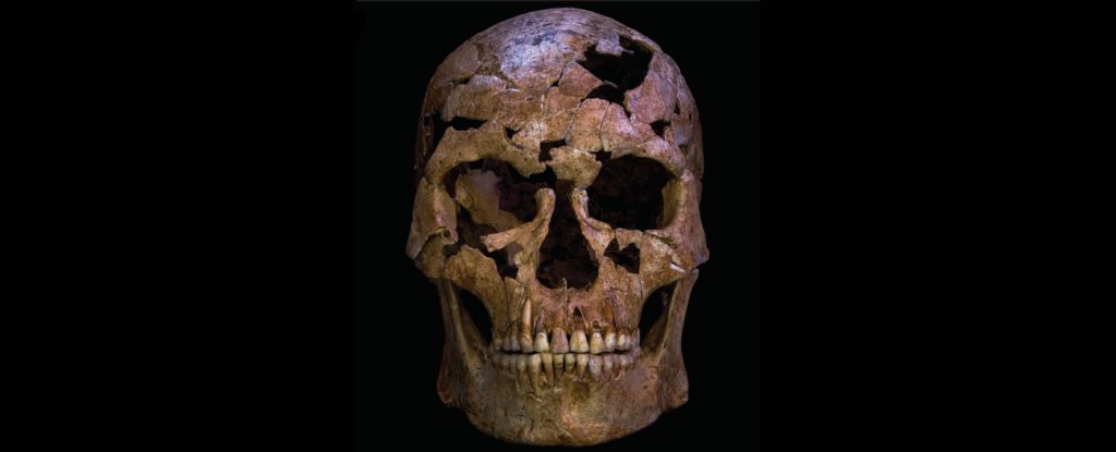 Следы древнейшего преступления: каменный наконечник указал на убийство возрастом 12 000 лет