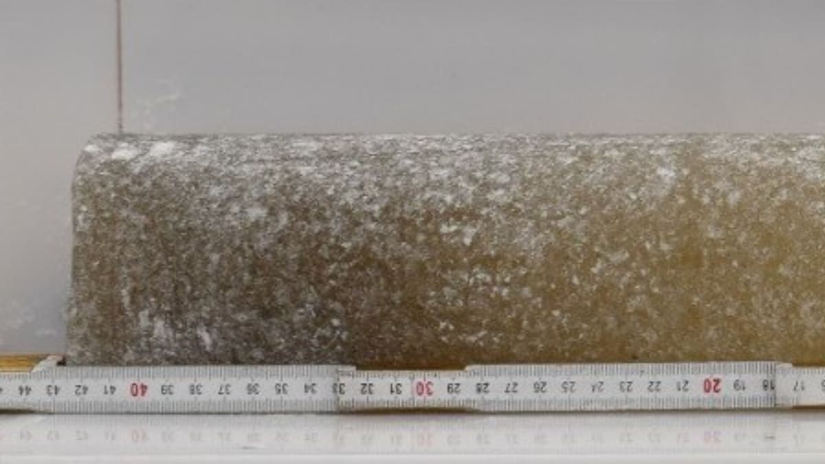 Учёные обнаружили в Антарктиде древнейший лёд возрастом шесть миллионов лет