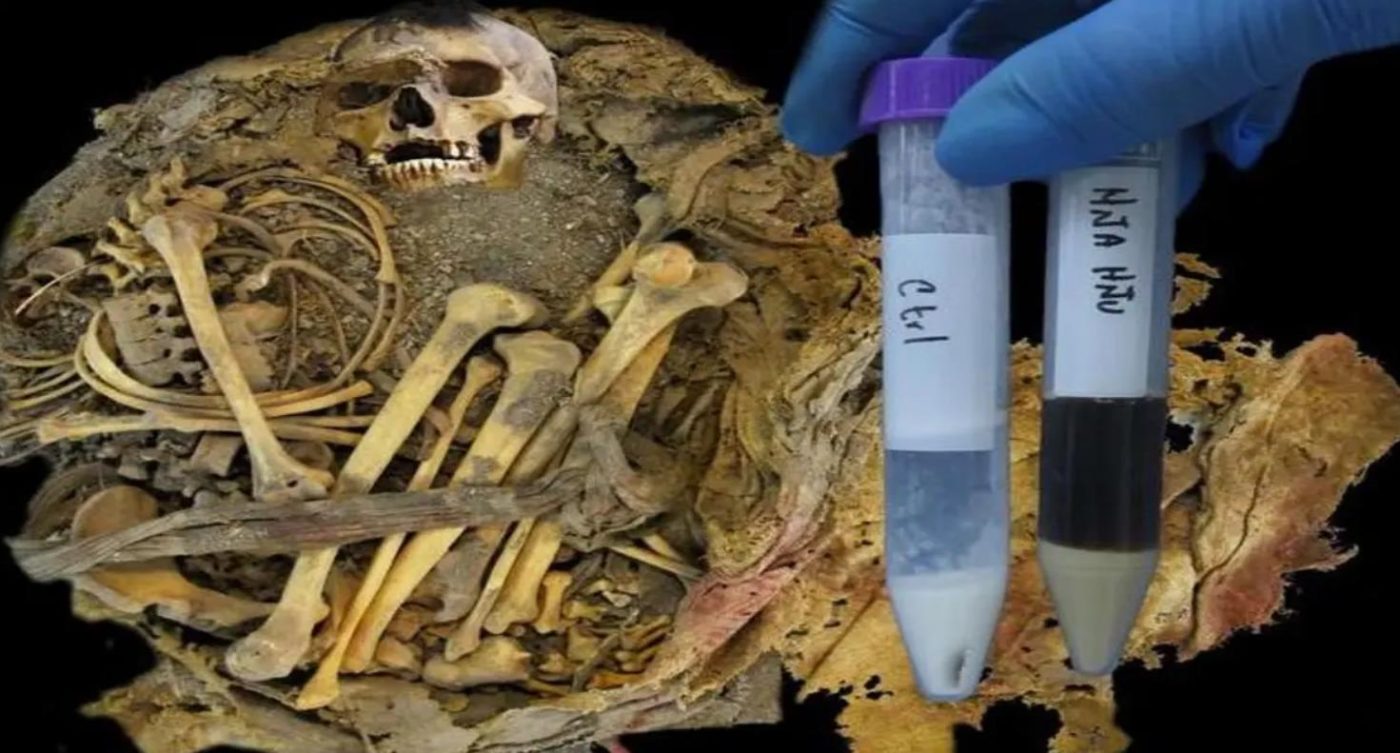 Ученые впервые расшифровали микробиом человека, жившего в Мексике тысячу лет назад