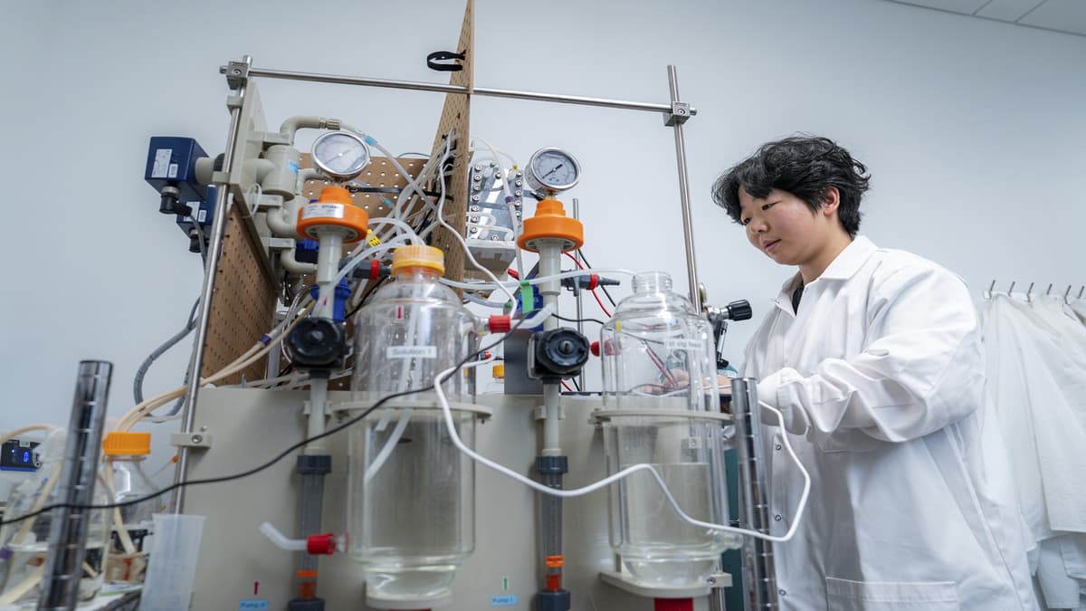 Учёные создали энергоэффективную мембрану для фильтрации лития