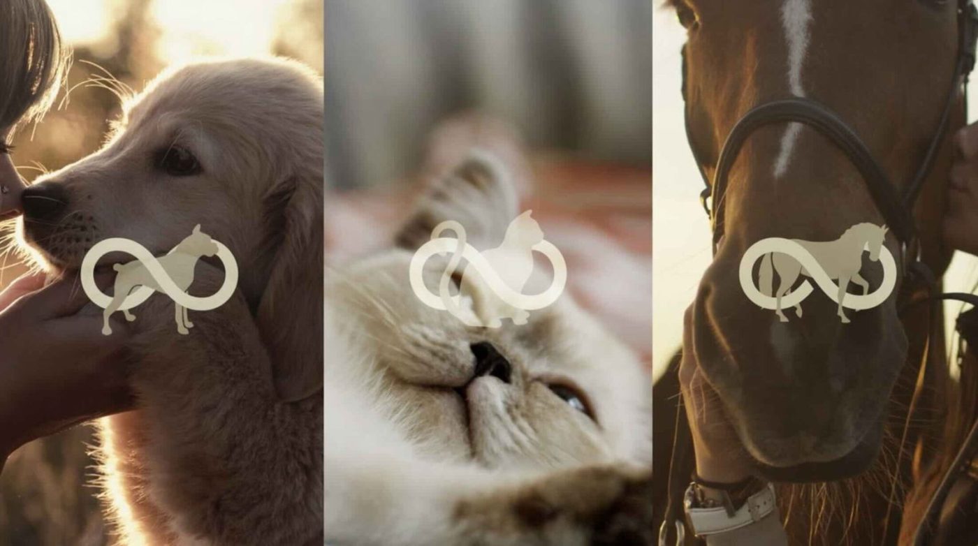 Компания Colossal приобретает лидера рынка клонирования Viagen для расширения усилий по сохранению редких видов