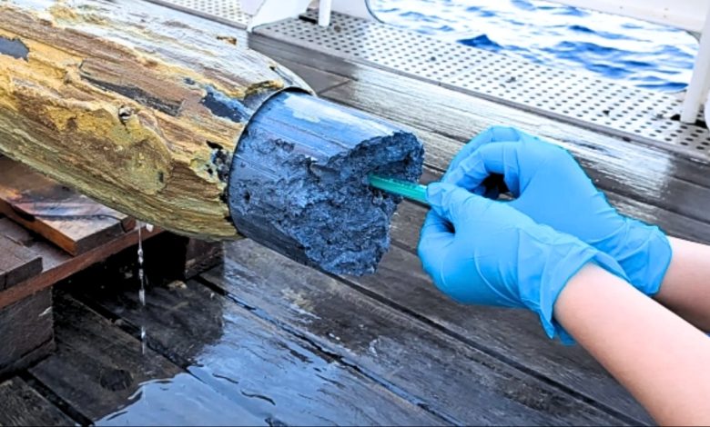 Исследователи обнаружили удивительные свидетельства жизни в загадочной синей вулканической слизи