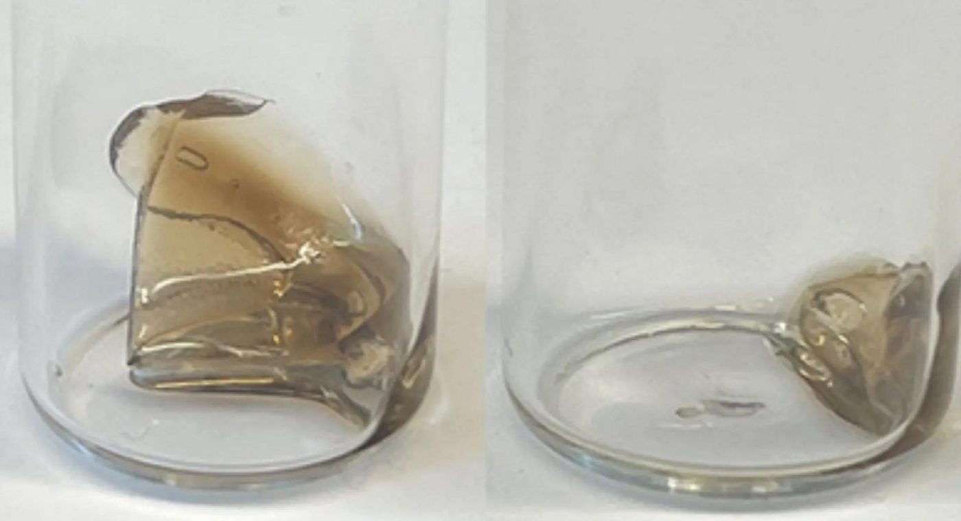 Учёные создали пластик с программируемым сроком годности