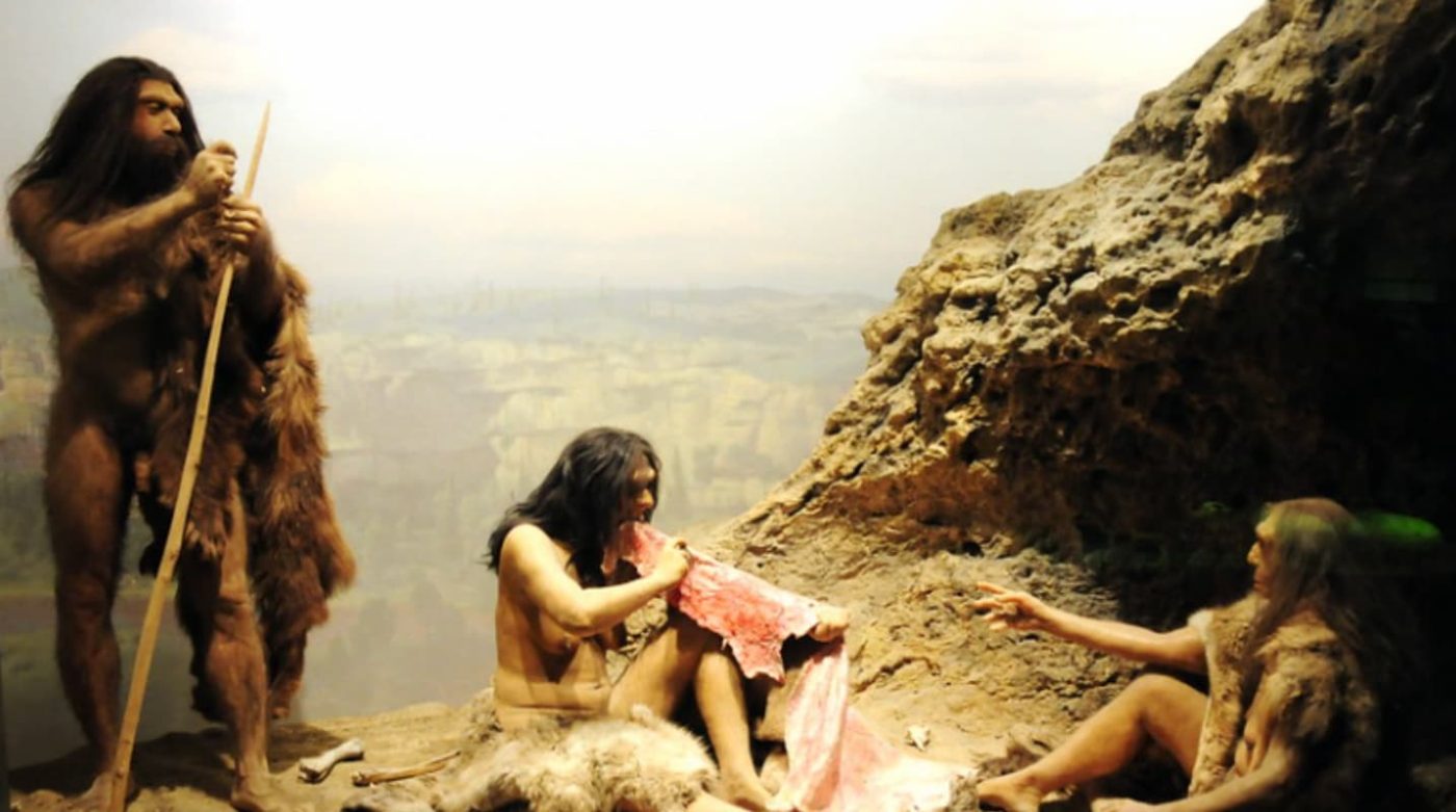 Новое исследование объясняет исчезновение неандертальцев медленным смешением с Homo sapiens