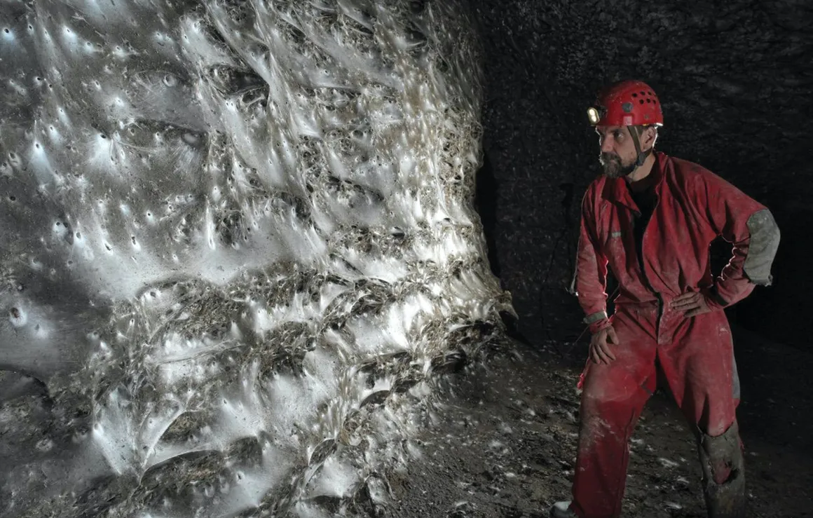 Крупнейшая в мире паутина с более чем 111 000 пауков обнаружена в европейской пещере