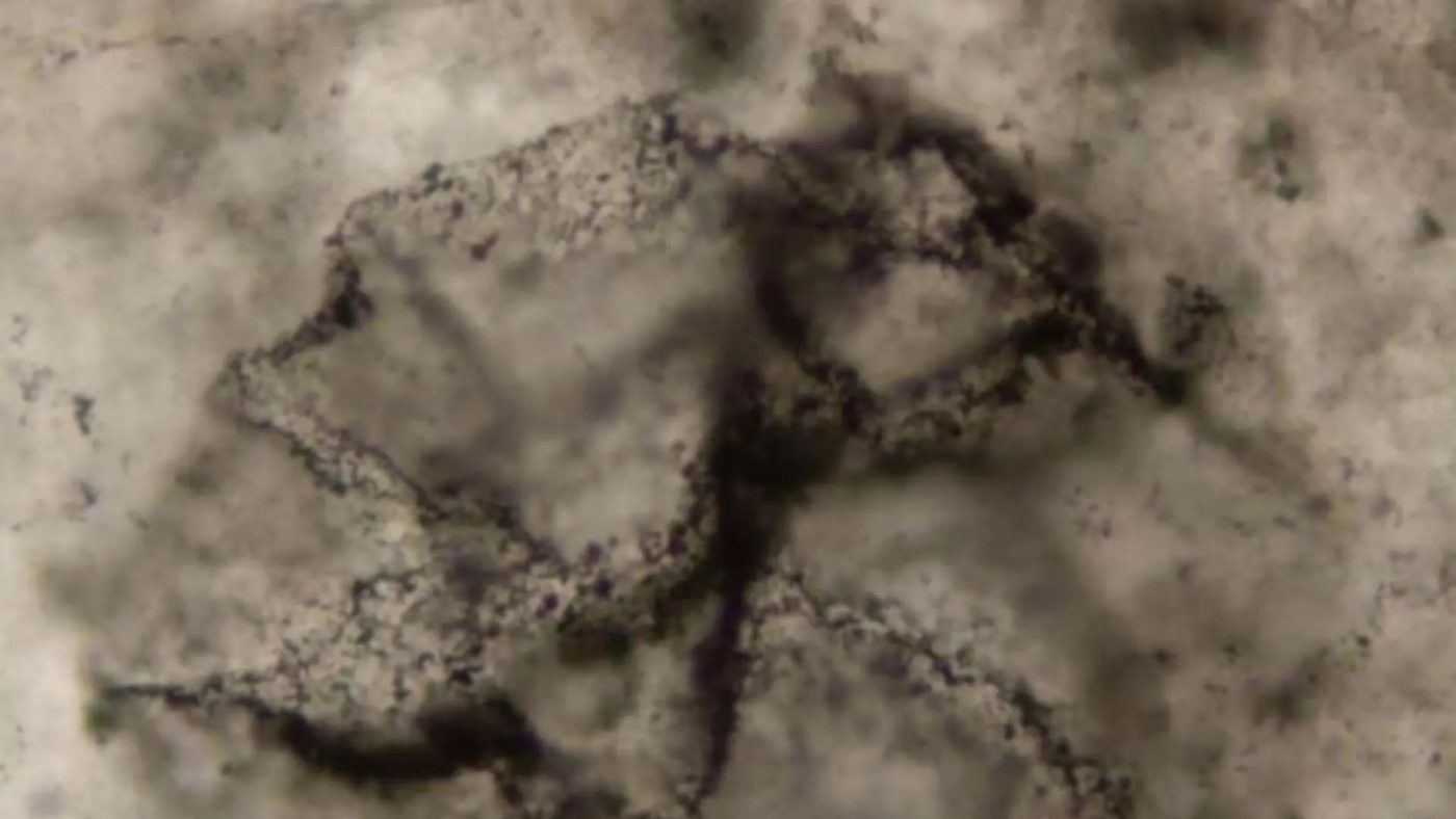 Следы жизни обнаружены в горных породах возрастом 3,3 миллиарда лет, отодвигая временные рамки существования жизни на Земле