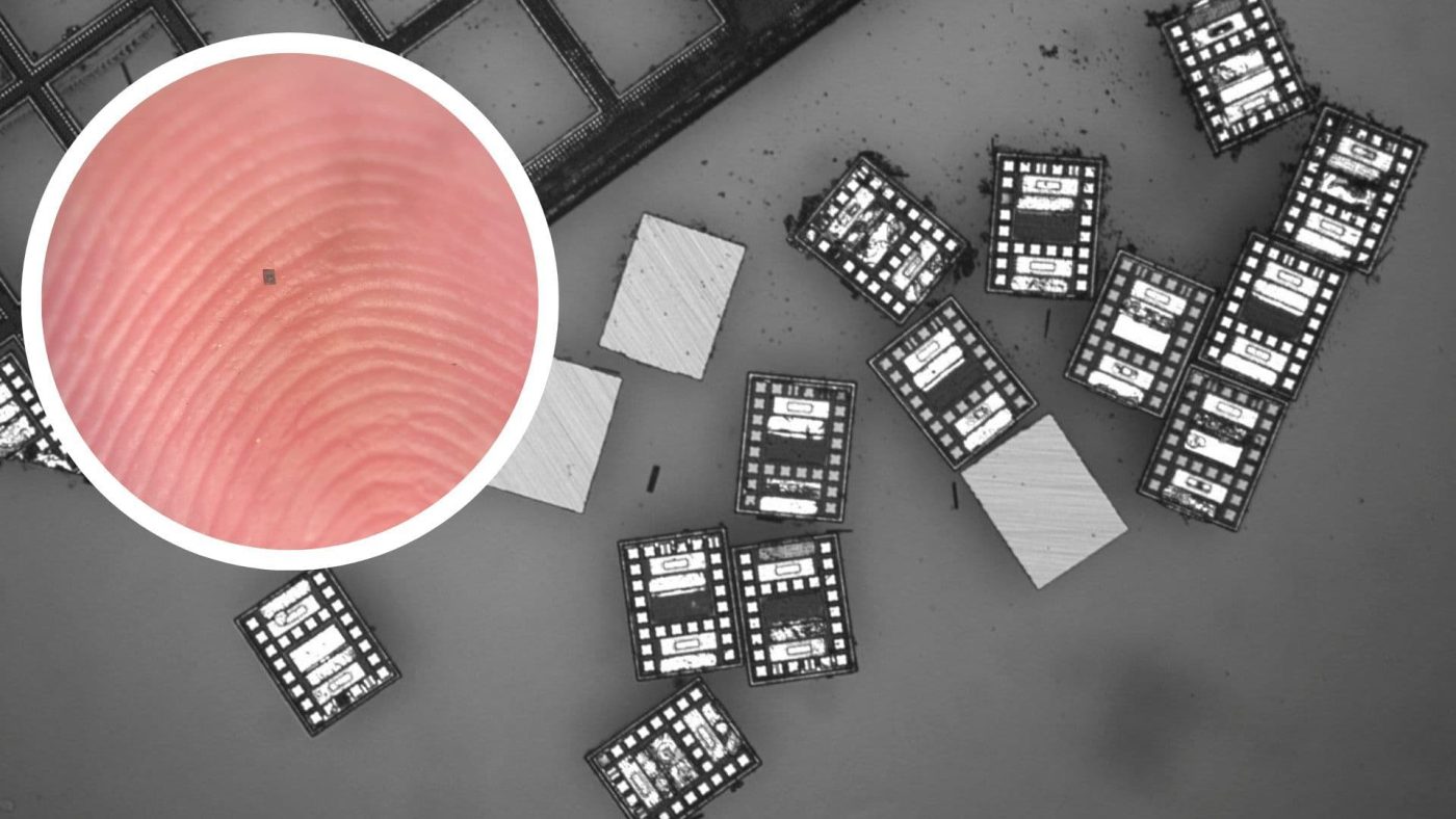 В США разработали микроскопических роботов, способных координировать движения и чувствовать температуру