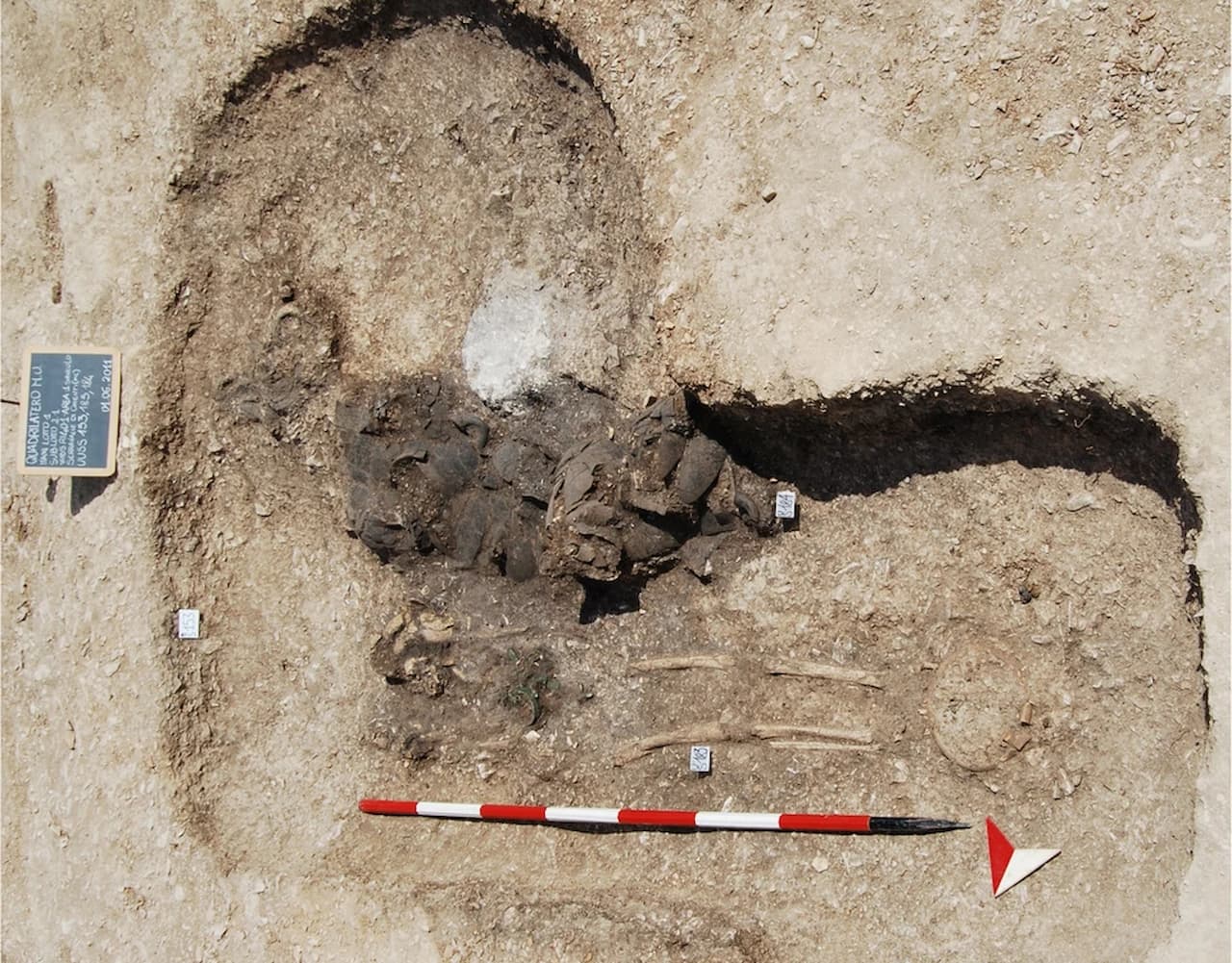 Учёные раскрыли тайну загадочного вещества Плиния Старшего для блеска одежды