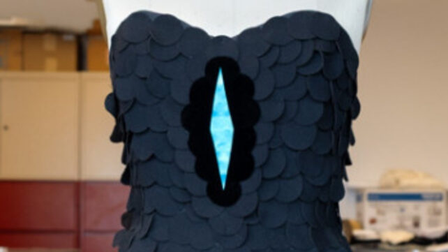 Ученые создали самую черную ткань, вдохновившись оперением райской птицы