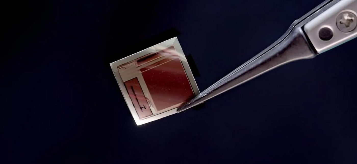 Учёные создали сверхтонкий чип с 65 тысячами электродов для прямого контакта с мозгом