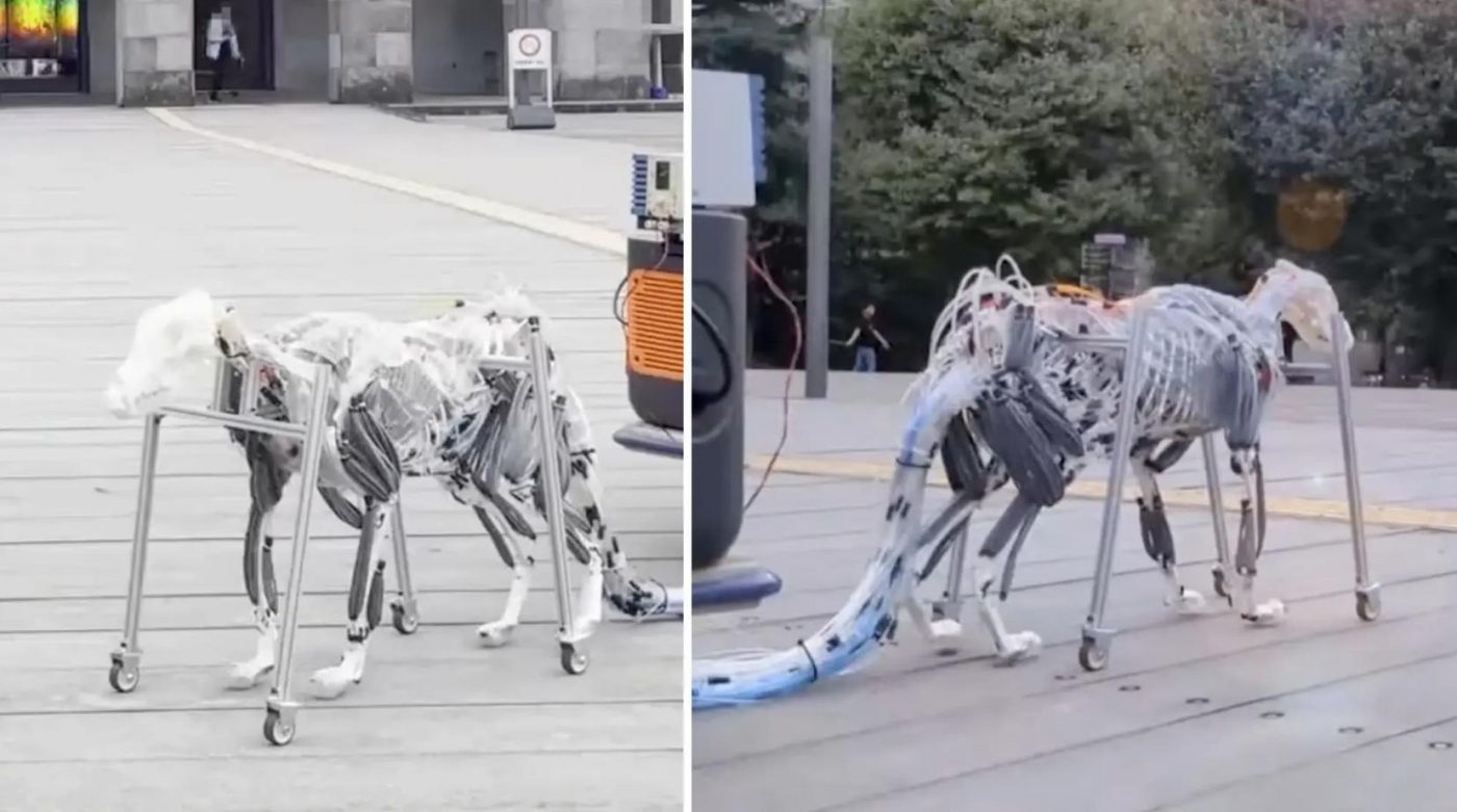 Японские инженеры представили гибкого четвероногого робота на пневмомышцах, имитирующего походку собаки