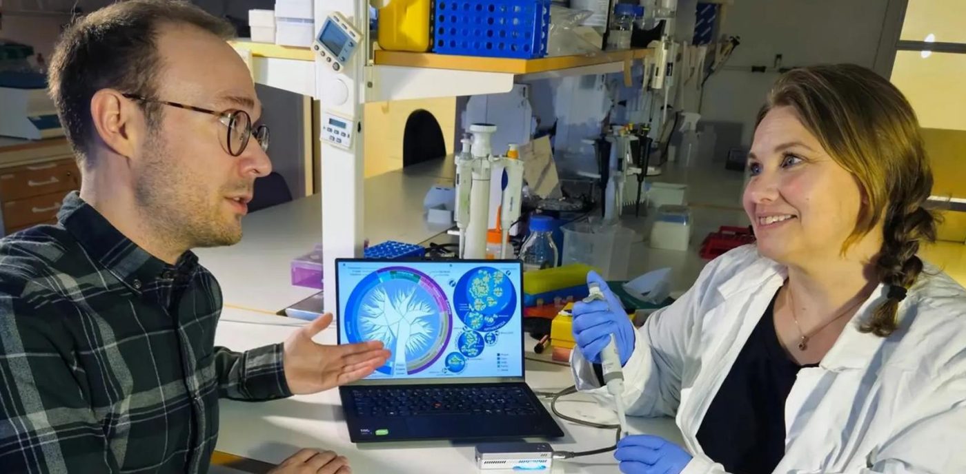 Ученые обнаружили десятилетия данных о ДНК в воздухе, скрытые в старых воздушных фильтрах