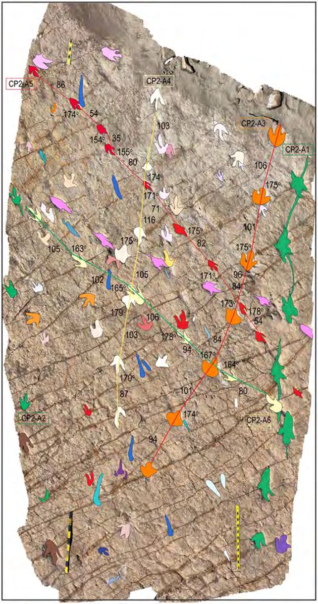 В Боливии обнаружено крупнейшее в мире скопление следов динозавров