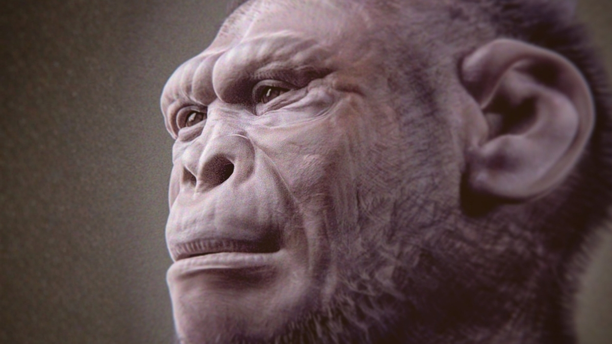 Ученые обнаружили древнейший и наиболее полный скелет Homo habilis возрастом два миллиона лет