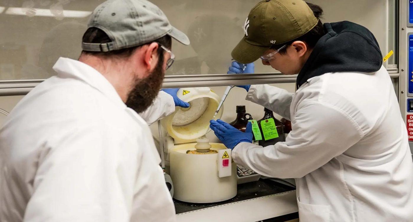 Учёные создали гибкую батарею по образу электрических угрей