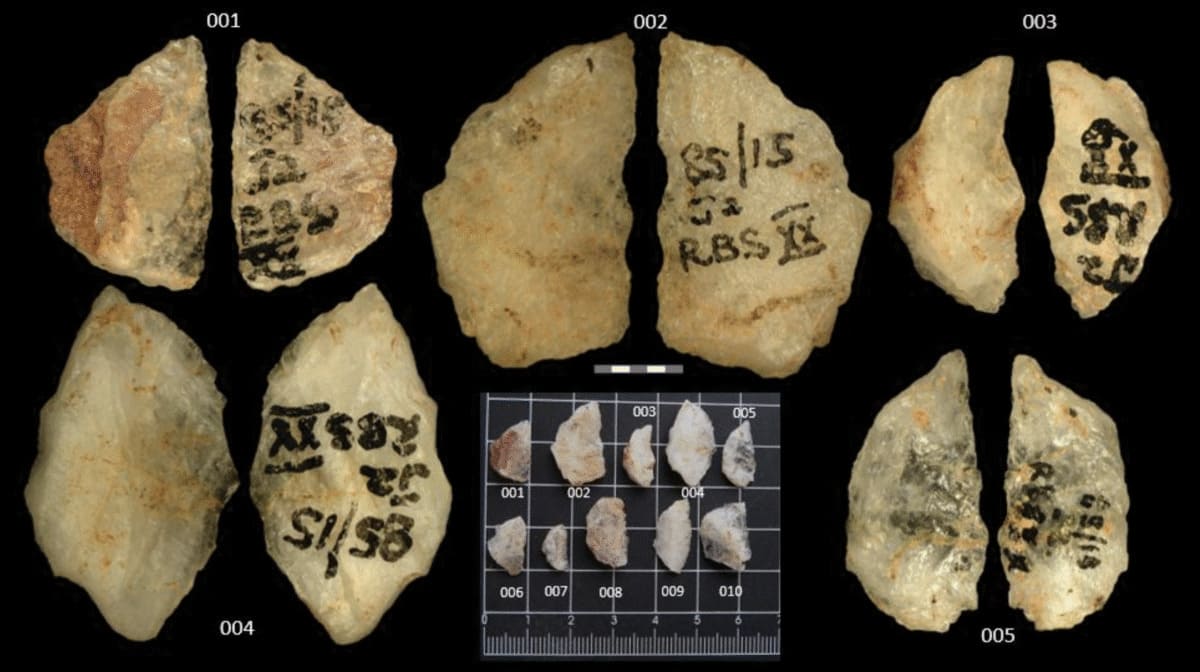 В Южной Африке нашли старейшие следы отравленных стрел, используемых древними охотниками