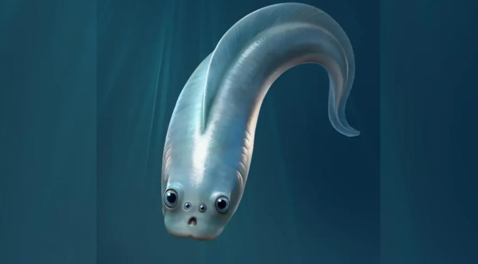 Древнейшие предки людей оказались четырехглазыми существами