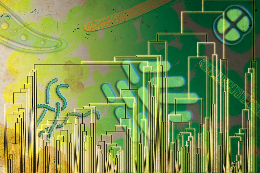 Жизнь научилась дышать кислородом за сотни миллионов лет до его появления в атмосфере