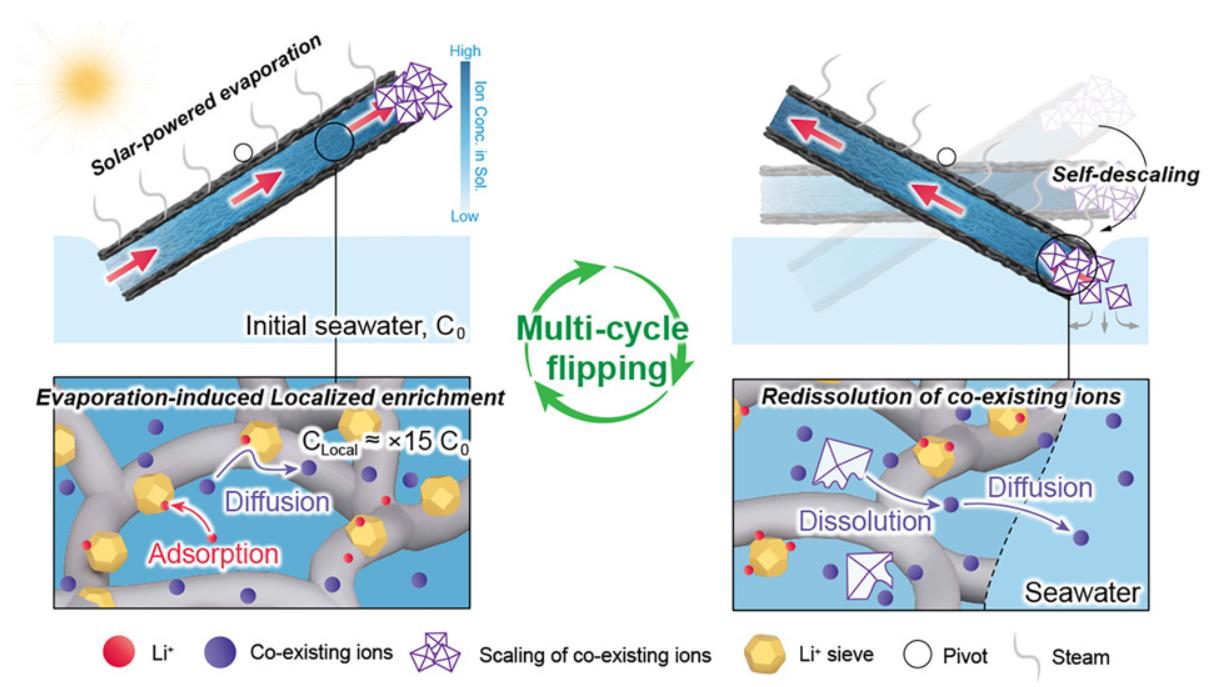 Ученые создали солнечное устройство для добычи лития из морской воды с одновременным ее опреснением