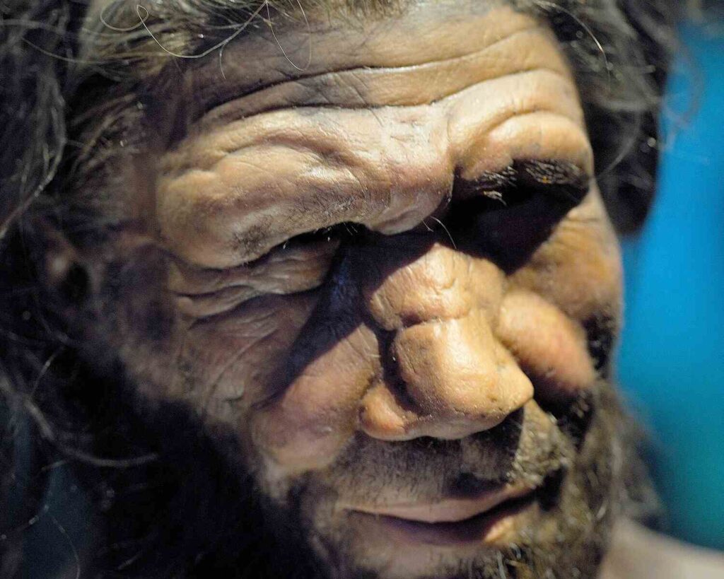 ИИ ошибается в истории: нейросети воспроизводят столетние стереотипы о неандертальцах